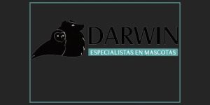 darwn1